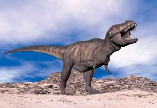 Obrázek z Pohlednice 3D 16cm - T-Rex 